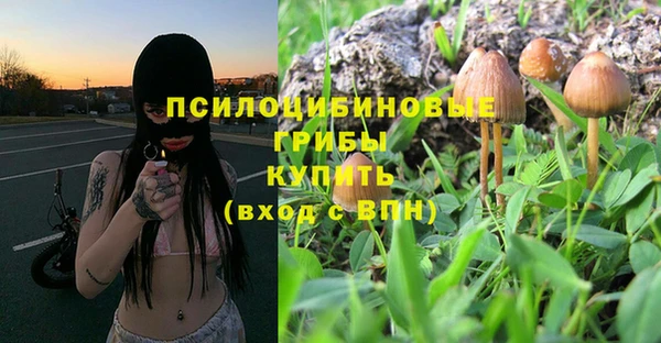ешки Дмитров